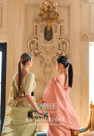 Kyari Tissue By Rajbeer Designer Partywear saree Collection